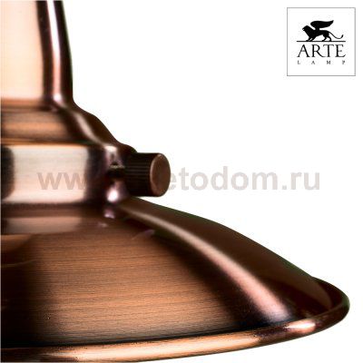 Подвесной светильник Arte lamp A5518SP-1RB Fisherman