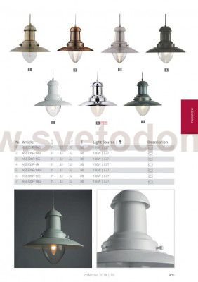 Светильник подвесной Arte lamp A5530SP-1RI Fisherman