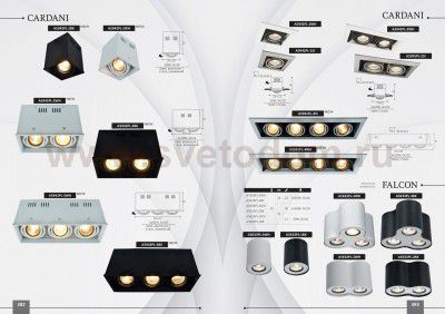 Светильник потолочный Arte lamp A5633PL-2BK FALCON