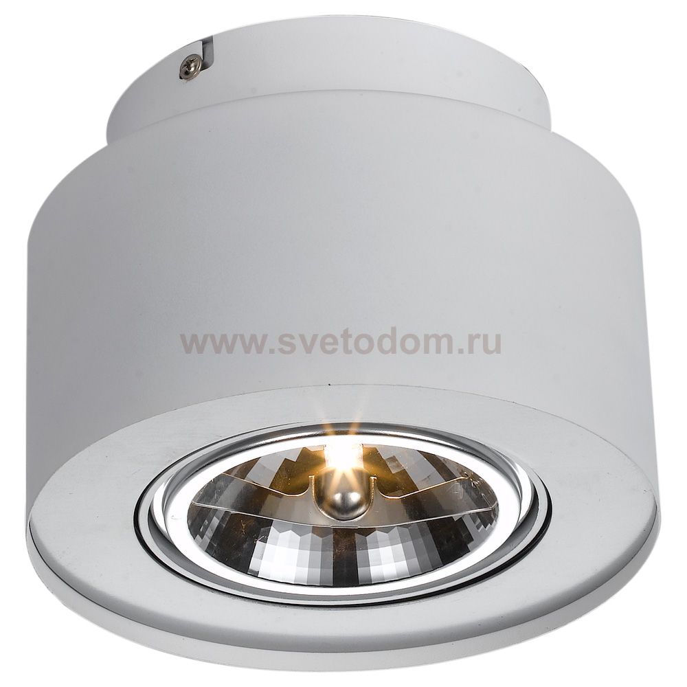 Светильник потолочный поворотный Arte lamp A5643PL-1WH CLIFF