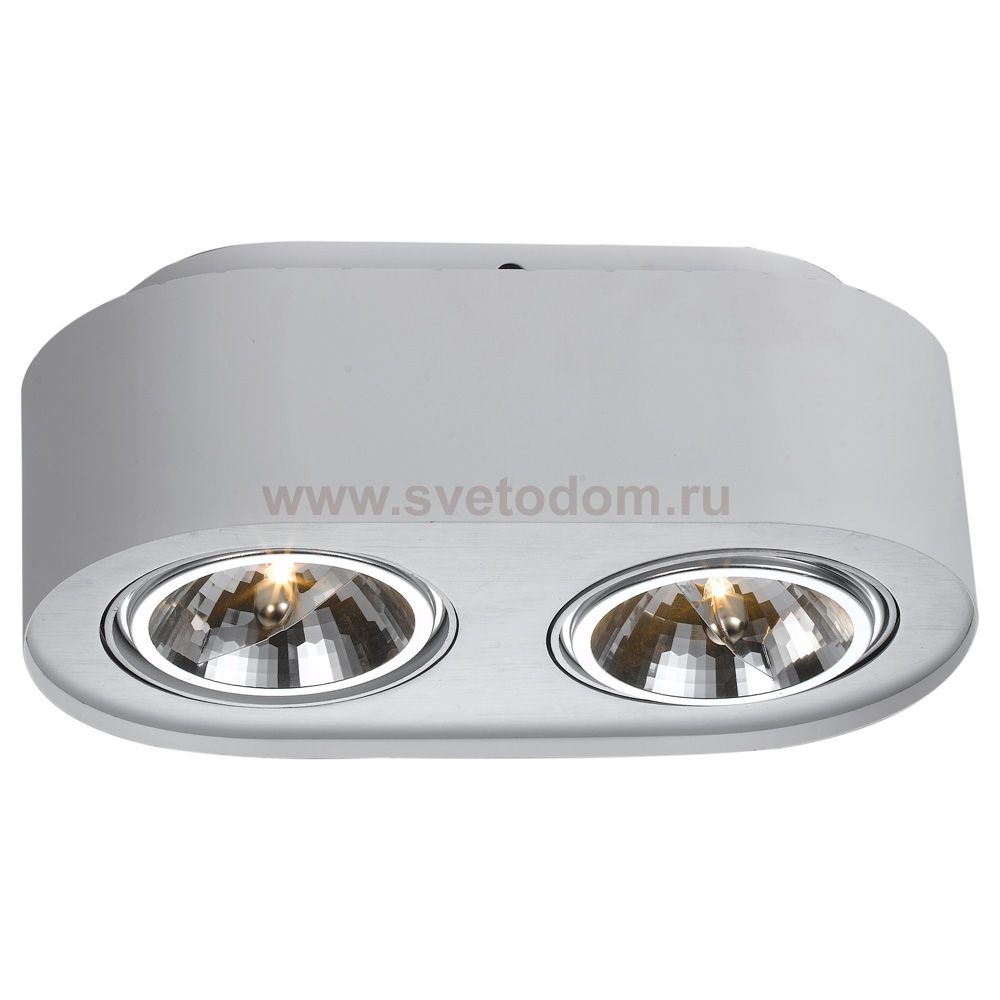 Светильник потолочный поворотный Arte lamp A5643PL-2WH CLIFF
