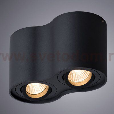 Светильник потолочный Arte lamp A5645PL-2BK FALCON
