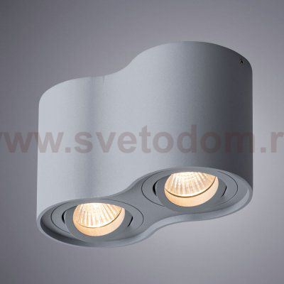 Светильник потолочный Arte lamp A5645PL-2GY FALCON