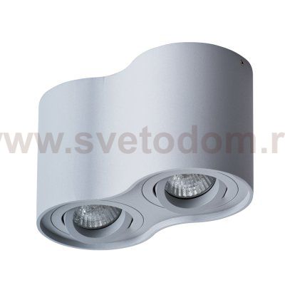 Светильник потолочный Arte lamp A5645PL-2GY FALCON