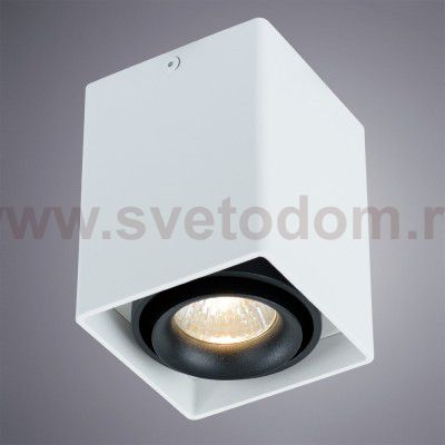 Светильник потолочный Arte lamp A5655PL-1WH PICTOR