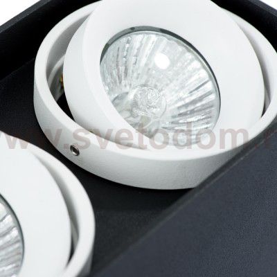 Светильник потолочный Arte lamp A5655PL-2BK PICTOR