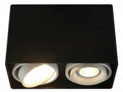 Светильник потолочный Arte lamp A5655PL-2BK PICTOR