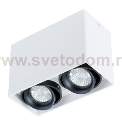 Светильник потолочный Arte lamp A5655PL-2WH PICTOR