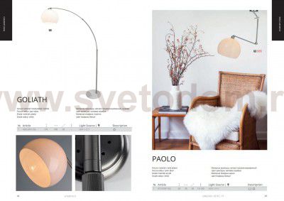 Светильник на штанге Arte Lamp A1733SP-1SS PAOLO