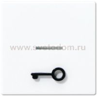 JUNG А 500 Бел Клавиша 1-я с символом ДВЕРЬ и линзой (A590T1KOWW)