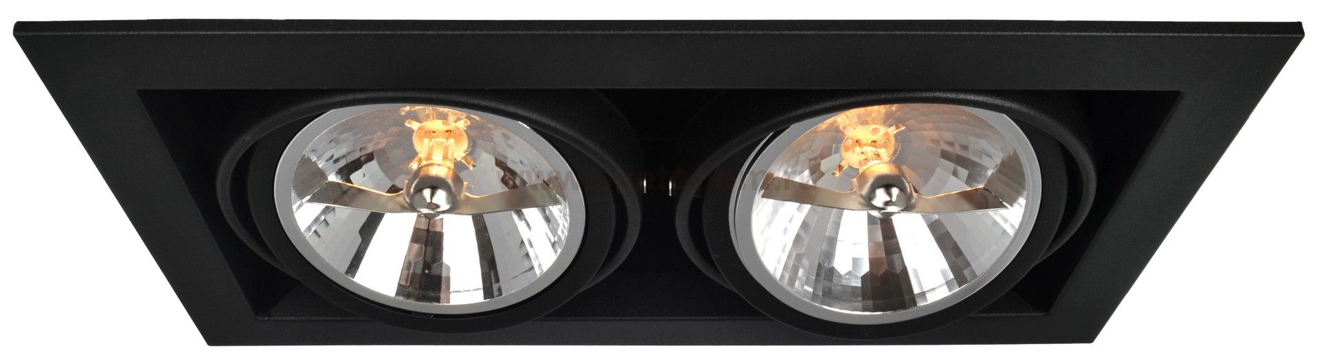 Светильник потолочный Arte lamp A5935PL-2BK CARDANI