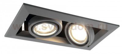 Светильник потолочный Arte lamp A5941PL-2GY CARDANI PICCOLO