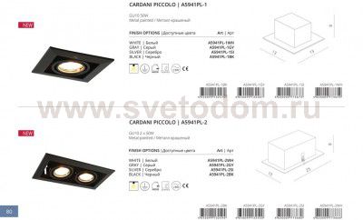 Светильник встраиваемый двойной 2*GU10 Arte lamp A5941PL-2SI Technika