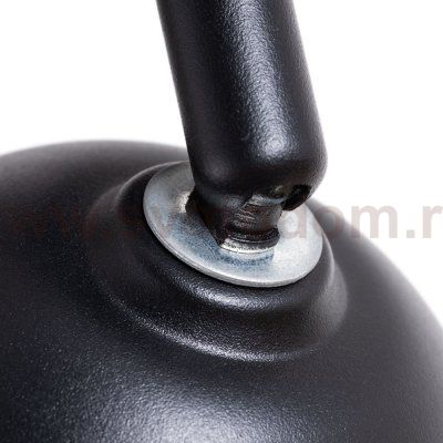 Светильник потолочный Arte lamp A6253PL-1BK BRAD