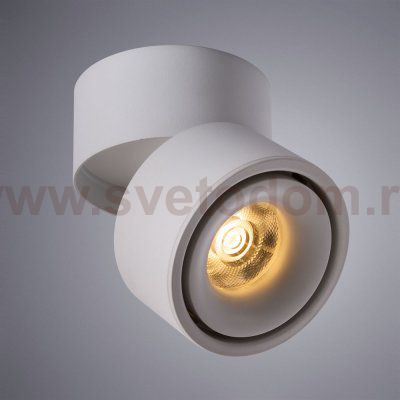 Светильник потолочный Arte lamp A7715PL-1WH ARCTURUS