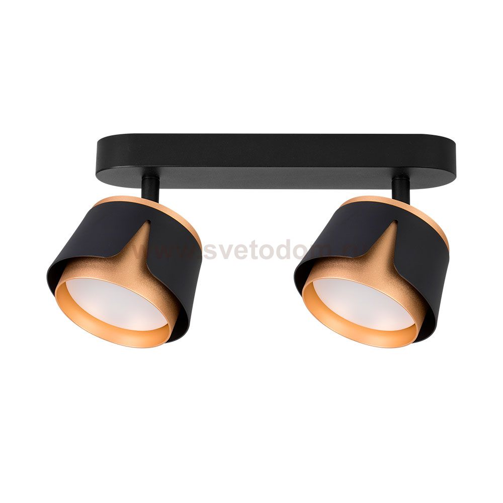 Накладной светильник спот Arte Lamp A8028PL-2BK AMAKS