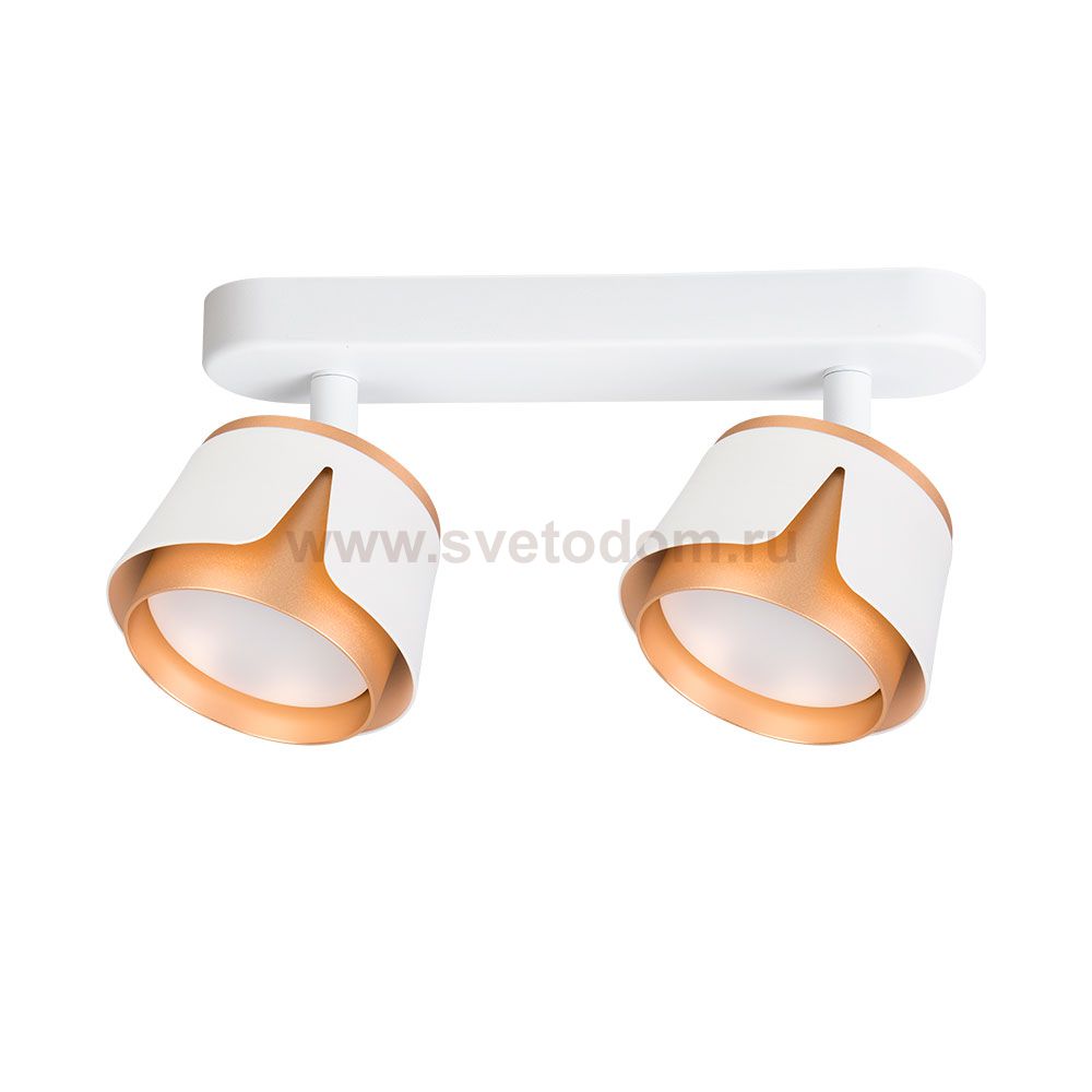 Накладной светильник спот Arte Lamp A8028PL-2WH AMAKS