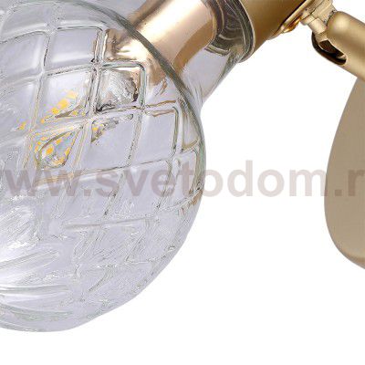 Светильник поворотный Arte Lamp A8040AP-1SG  SALUTE