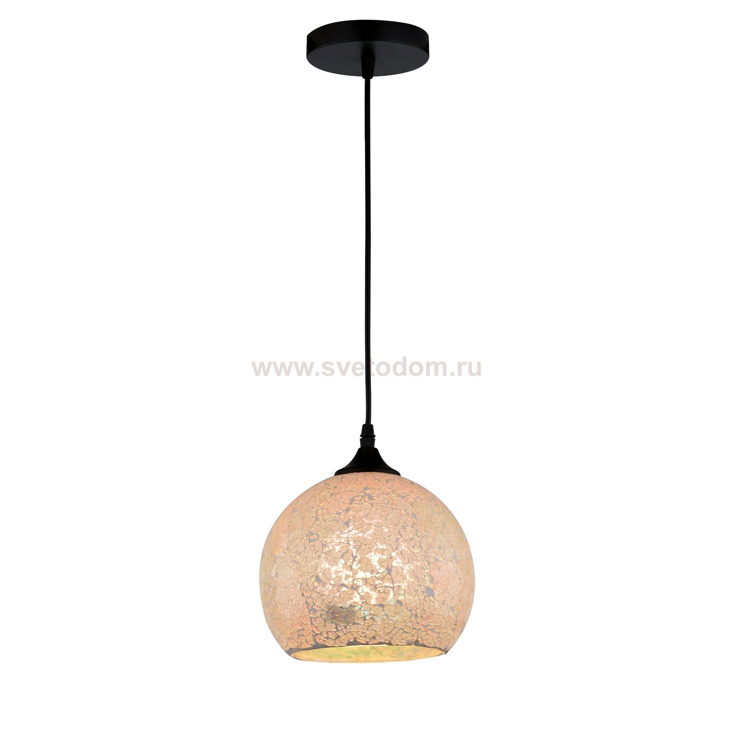 Светильник подвесной Arte lamp A8073SP-1BK Spumante