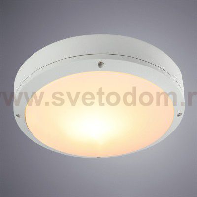 Светильник уличный Arte lamp A8154PF-2WH City