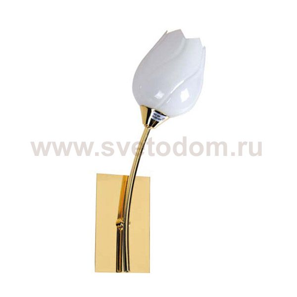 Светильник бра Arte Lamp A8292AP-1PB TULIP