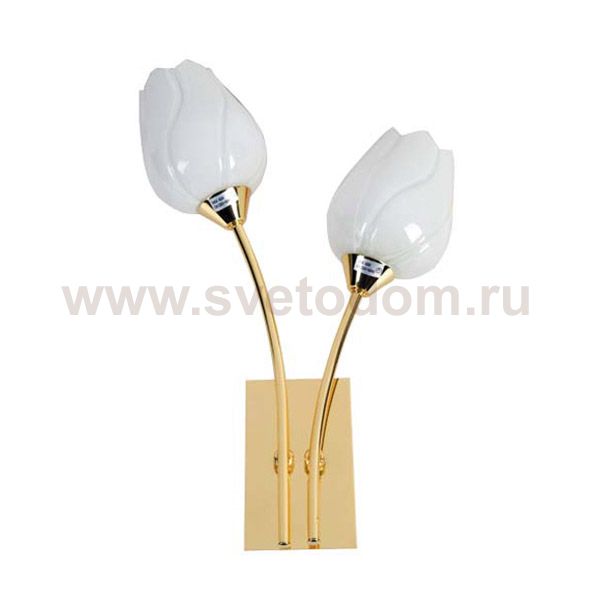 Светильник бра Arte Lamp A8292AP-2PB TULIP