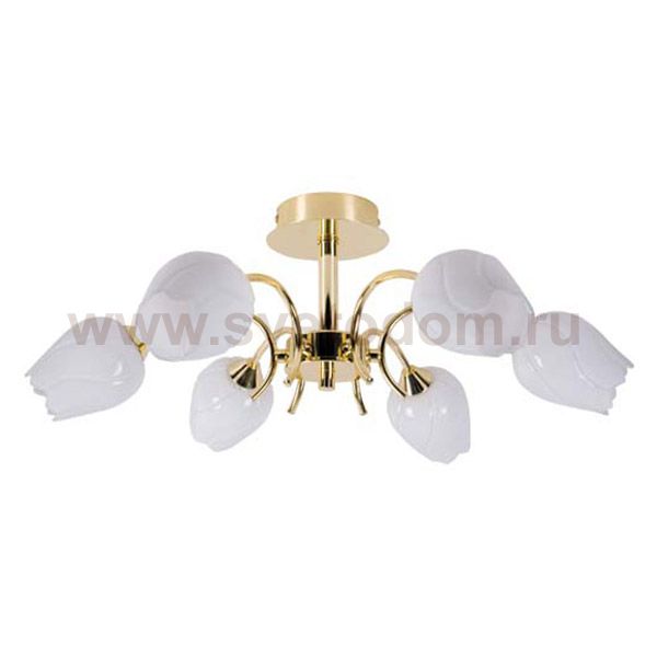 Люстра Arte Lamp A8292PL-6PB TULIP