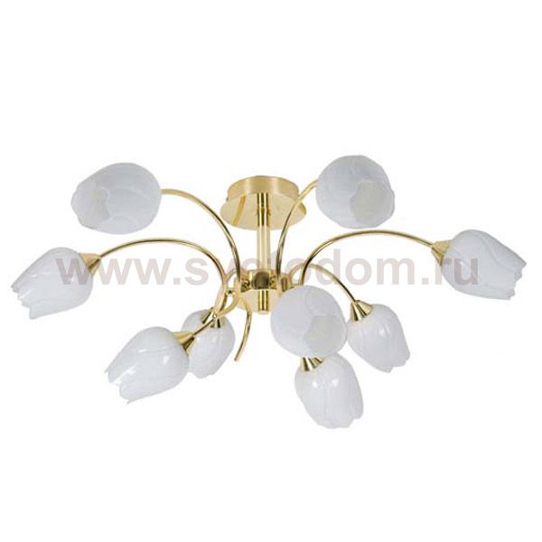 Люстра Arte Lamp A8292PL-9PB TULIP TULIP