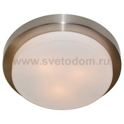Светильник потолочный Arte lamp A8510PL-3SS AQUA