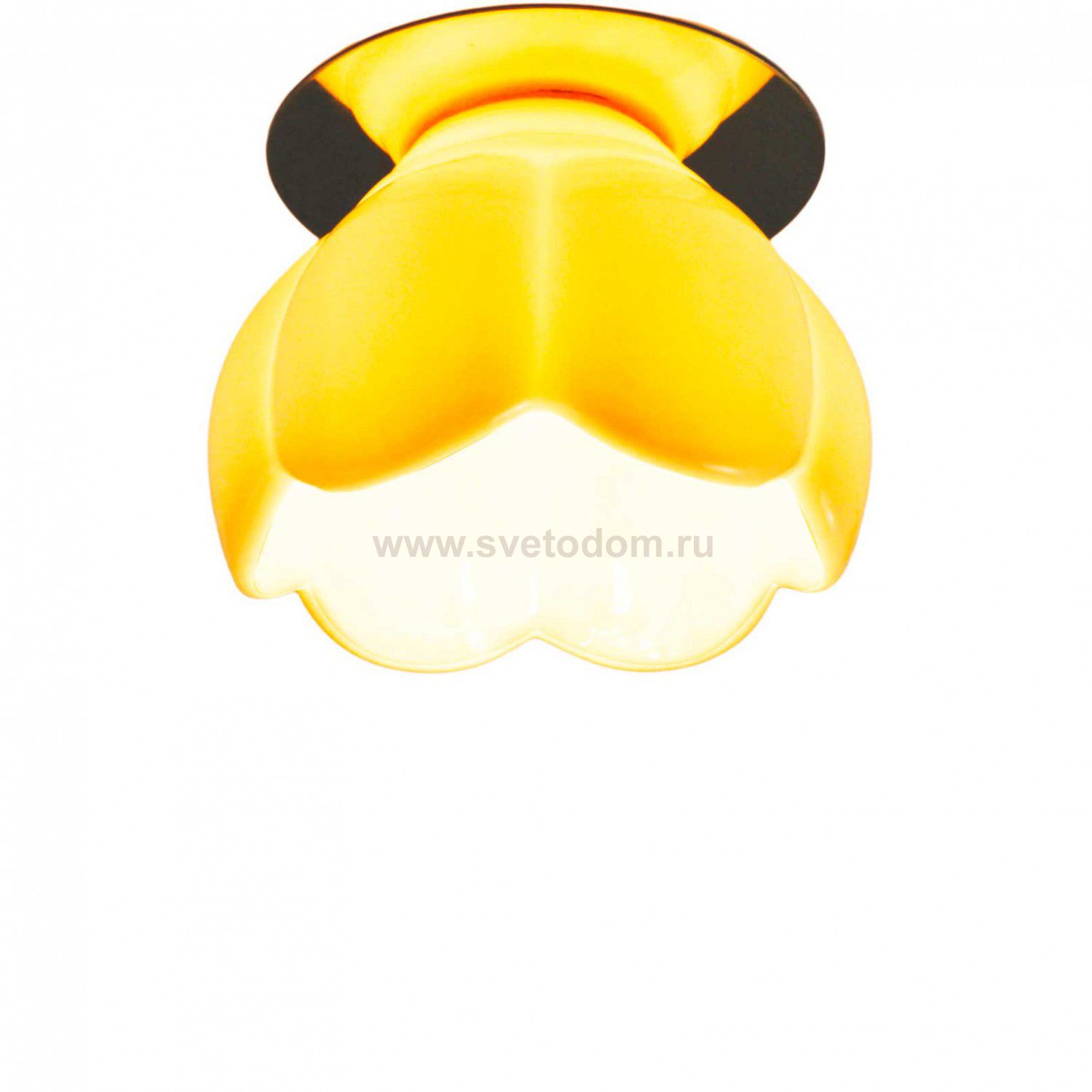 Светильник потолочный Arte lamp A8806PL-1CC OCCHIO