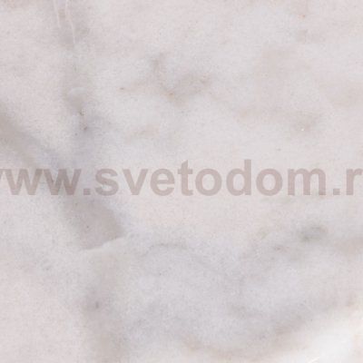 Торшер изогнутый удочкой Arte Lamp A8919PN-1SS ARCO