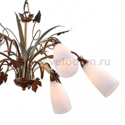 Подвесная люстра Arte lamp A8935LM-6GA Tipico