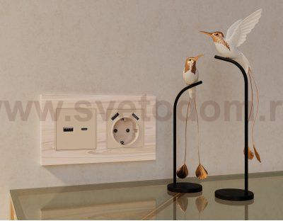 Лицевая панель ALFA (Бежевый матовый) для электрической розетки с/з со шторками 2USB A+A QUANT AP3290 Ambrella Volt