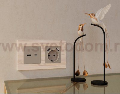 Лицевая панель ALFA (Серо-бежевый матовый) для розетки 2USB A+C QUANT AP3710 Ambrella Volt