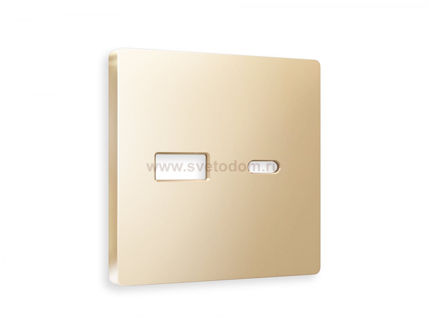 Лицевая панель ALFA (Шампань) для розетки 2USB тип A+C QUANT AP6110 Ambrella Volt