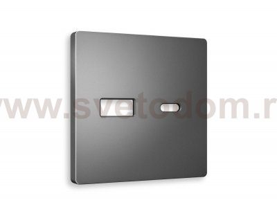 Лицевая панель ALFA (Антрацит серый) для розетки 2USB тип A+C QUANT AP6610 Ambrella Volt