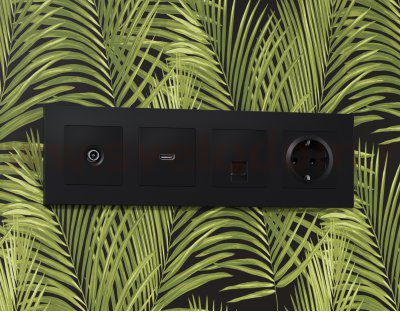 Лицевая панель ALFA (Черный матовый) для TV розетки QUANT AP8130 Ambrella Volt