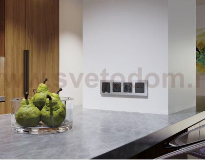 Лицевая панель ALFA (Графит Мягкое касание) для электрической розетки с заземлением со шторками 2USB A+C QUANT AP9100 Ambrella Volt