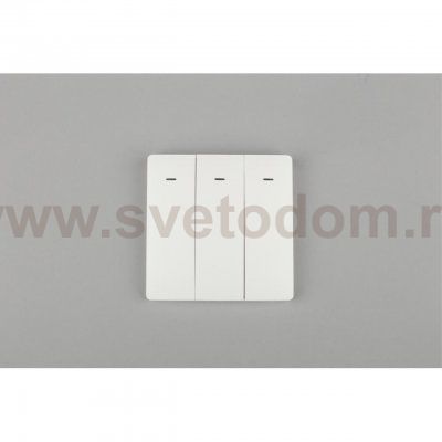 Трековое управление Aployt APL.0190.00.03 Magnetic track 220