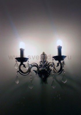 Светильник настенный бра Maytoni ARM245-02-R Bronze