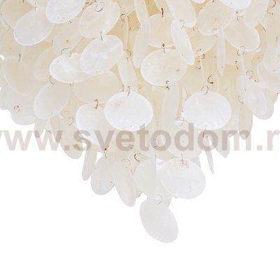 Светильник из ракушек Ben Crezo B11189/5B CR