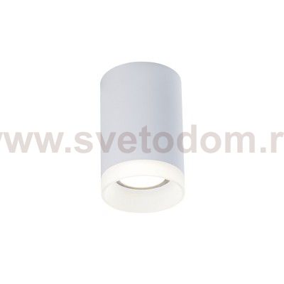 Светильник потолочный Maytoni C008CW-01W белый