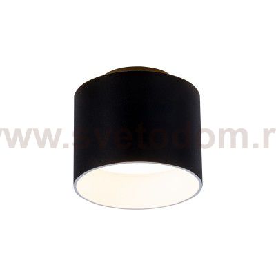 Потолочный светильник Maytoni C009CW-L12B Planet