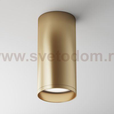 Потолочный светильник Maytoni C010CL-01MG Focus