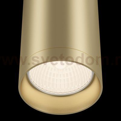 Потолочный светильник Maytoni C010CL-01MG Focus