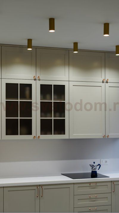 Потолочный светильник Maytoni C010CL-01MG Focus