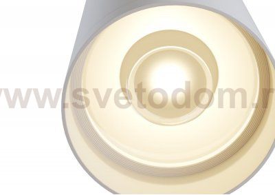 Потолочный светильник Maytoni C010CL-01W Focus