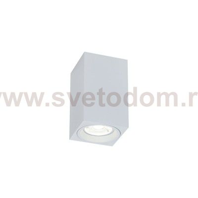 Потолочный светильник Maytoni C011CL-01W Alfa