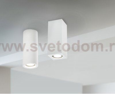 Потолочный светильник Maytoni C011CL-01W Alfa