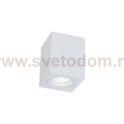 Потолочный светильник Maytoni C013CL-01W Alfa